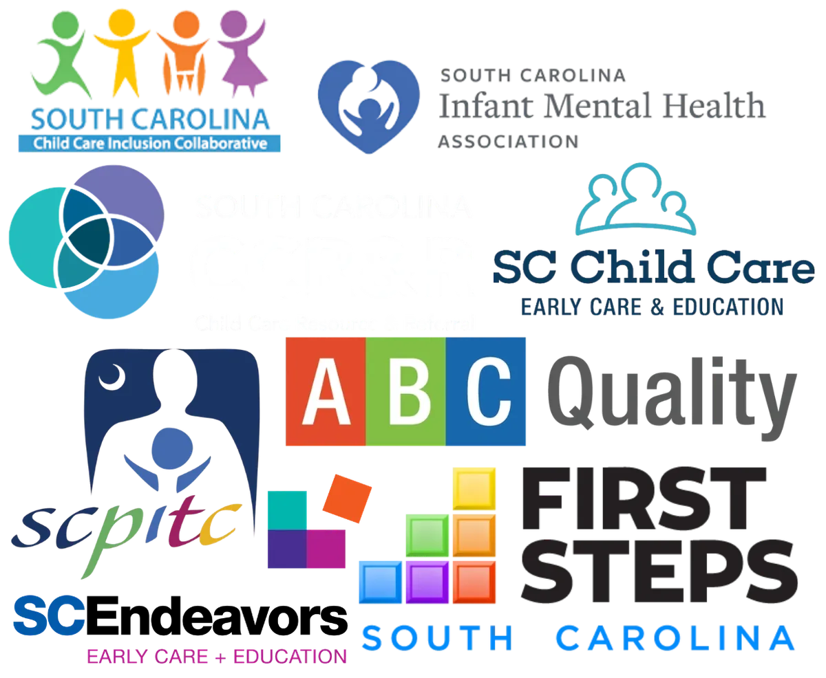 South Carolina agencies and state-specific support resources